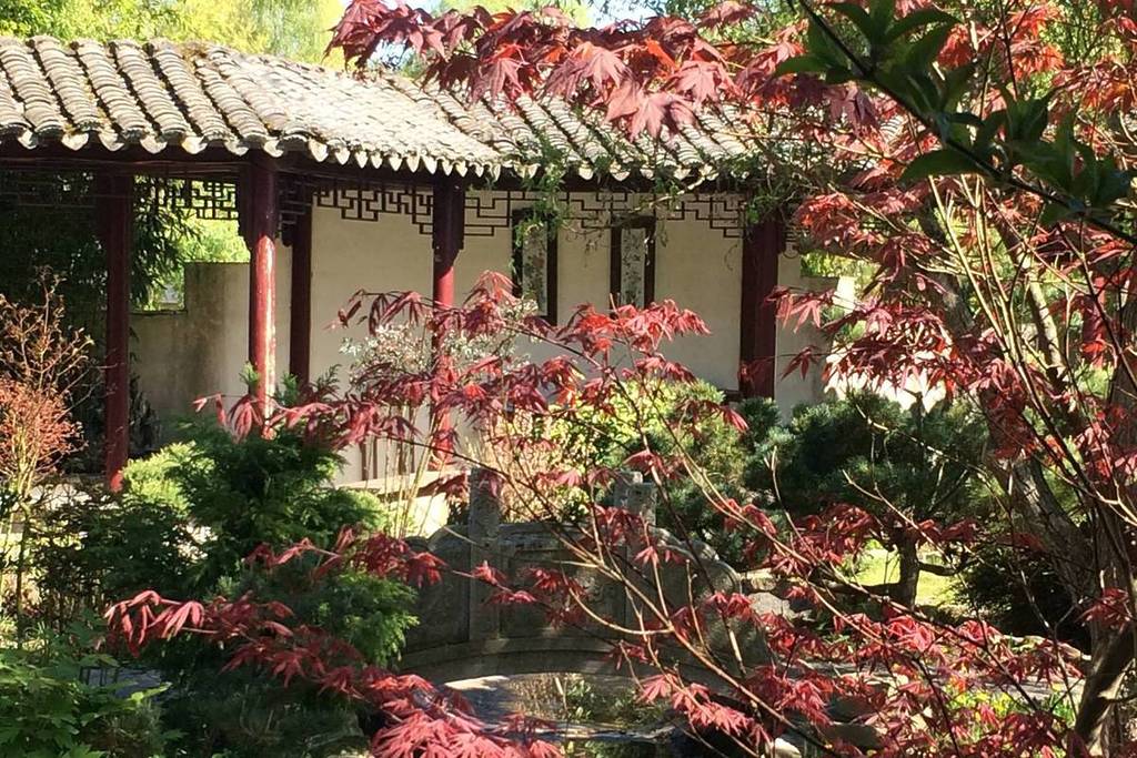 jardin chinois Paris