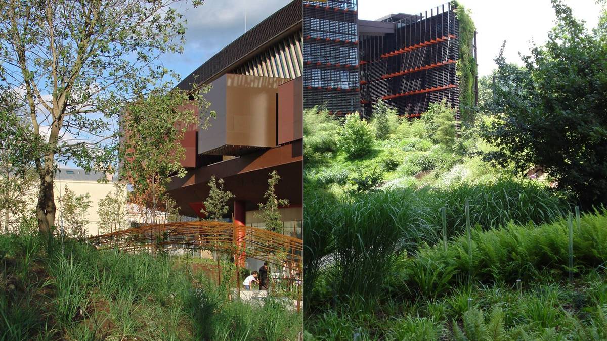 Jardin du musée du quai branly