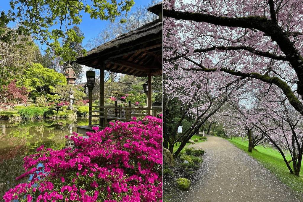 grand jardin japonais paris
