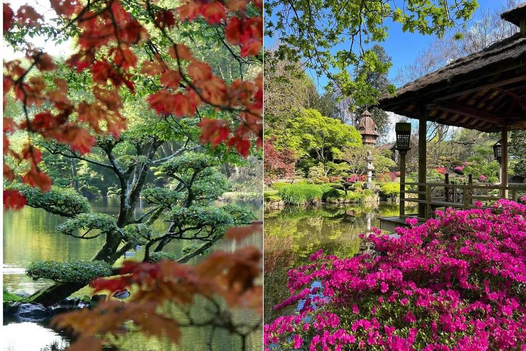 Le plus grand jardin japonais d’Europe se trouve en France – et il est absolument féérique