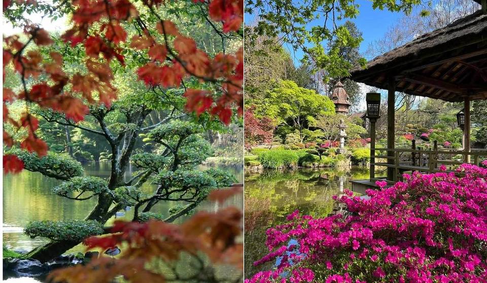 Le plus grand jardin japonais d’Europe se trouve en France – et il est absolument féérique