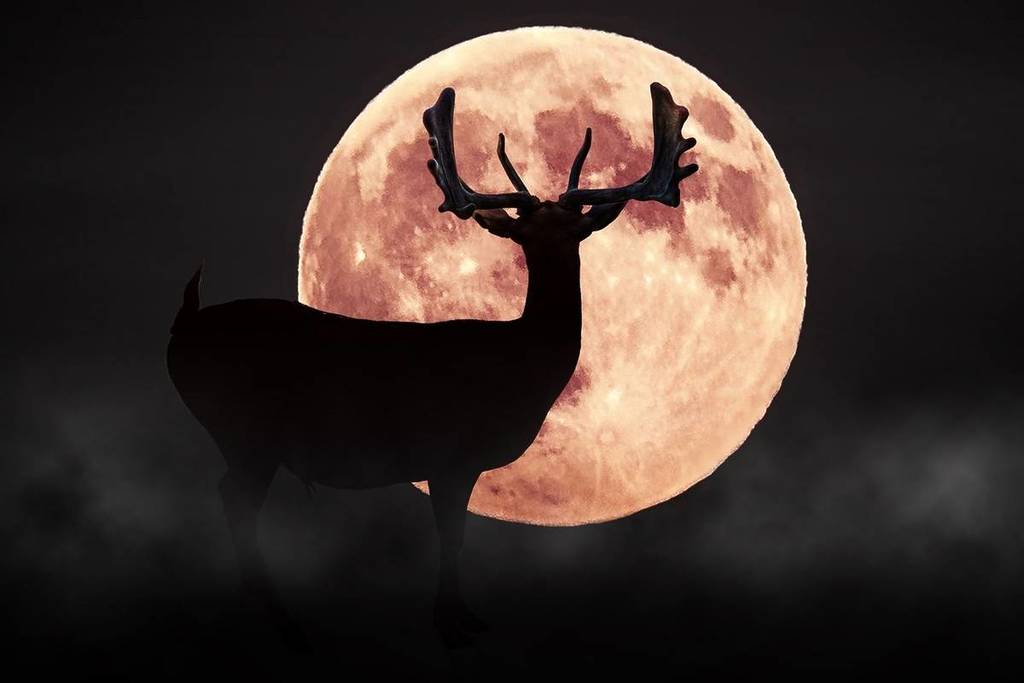 Volle Stag Maan juli 2025