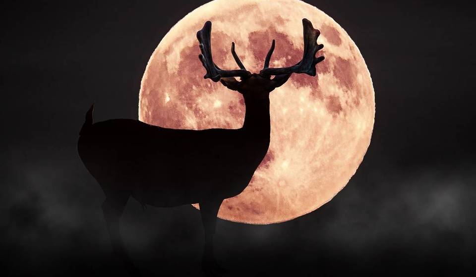 A espetacular Lua Cheia do Veado vai iluminar o céu esta noite &#8211; e eis o que a torna tão especial&#8230;