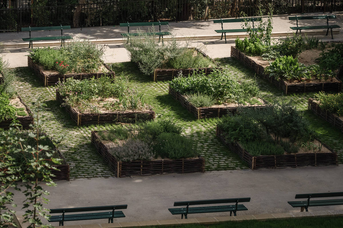 Potager du Musée de Cluny