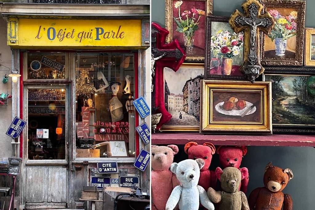 petit cabinet de curiosités Paris
