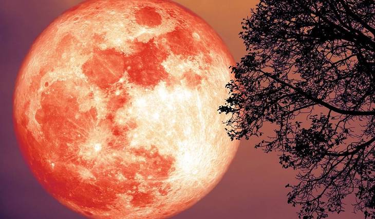 The fascinating Full Moon of the Sturgeon will set the sky ablaze in August &#8211; Where does this strange name, inspired by a giant fish, come from?