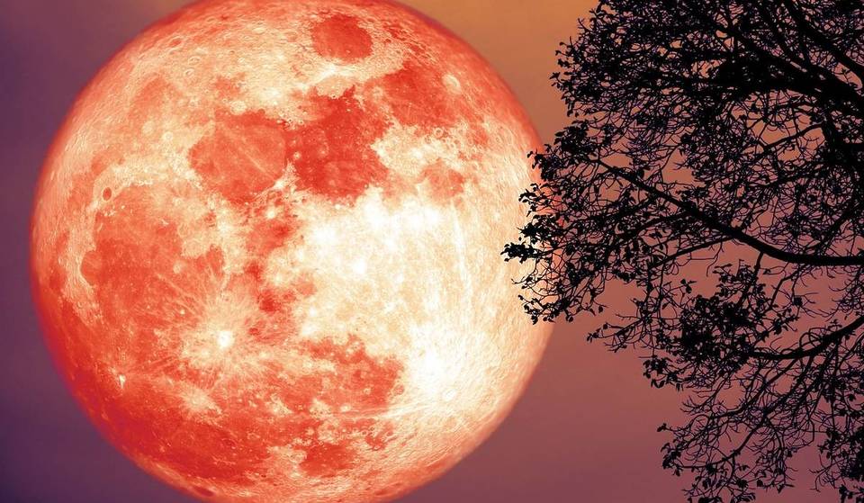 De fascinerende volle maan van de steur zal in augustus de hemel in lichterlaaie zetten. Waar komt deze vreemde naam, geïnspireerd op een reuzenvis, vandaan?