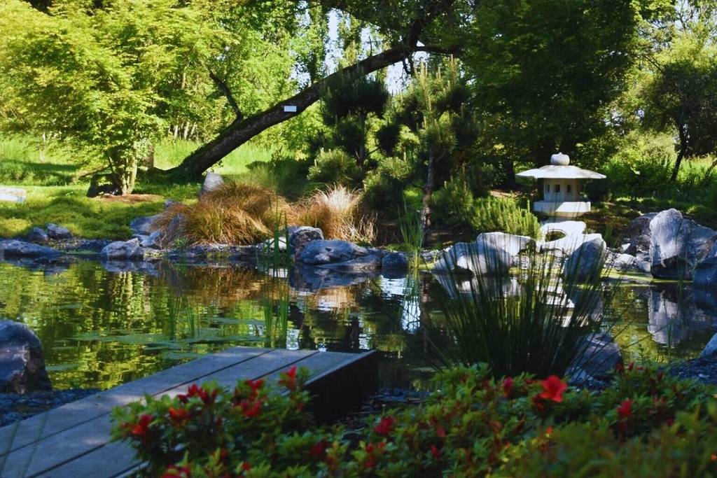 jardin japonais