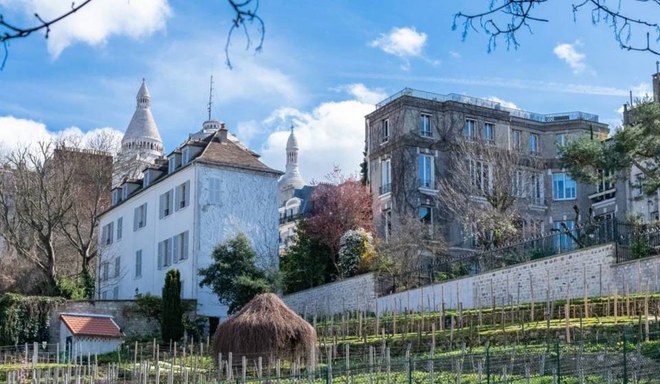 Het legendarische Fête des Vendanges komt terug om Montmartre 5 dagen lang te verlevendigen – en belooft een rijk en gevarieerd programma