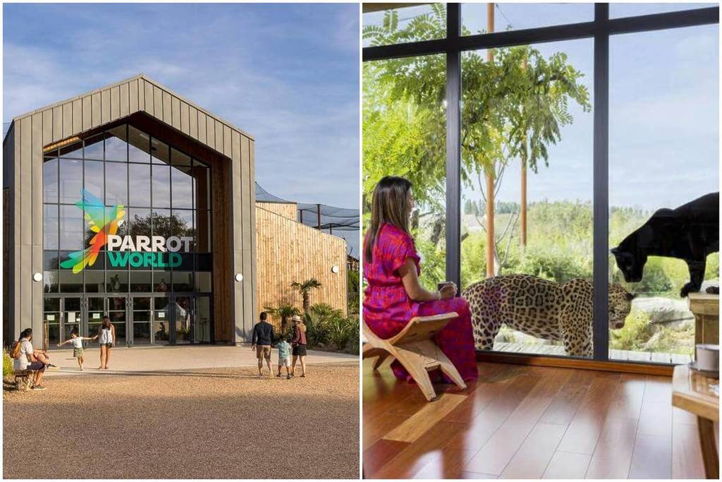 parque aniamlier mundo de loros