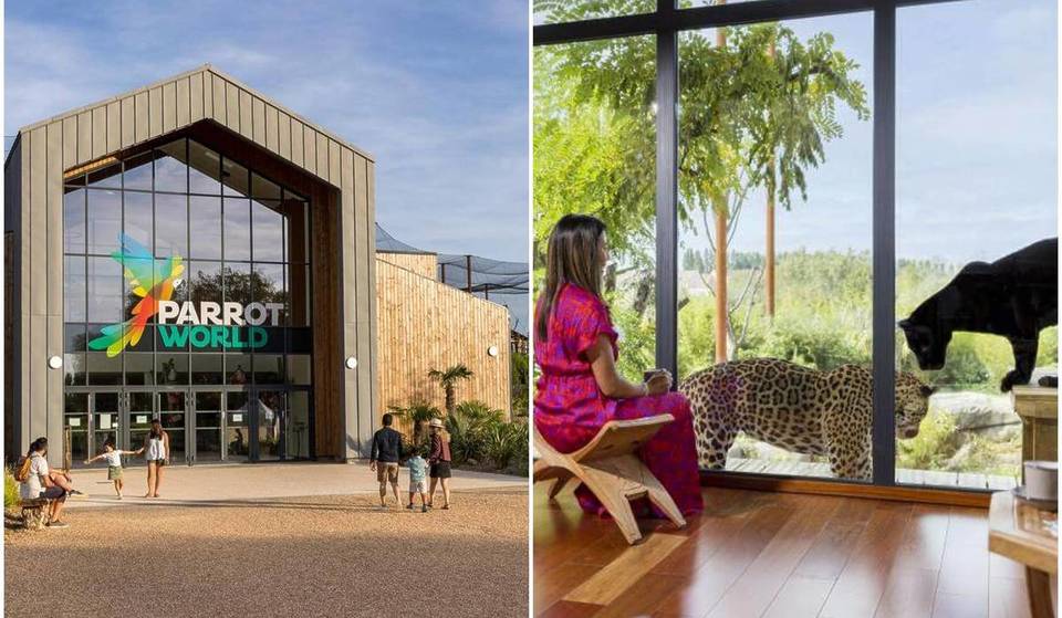 Dit dierenpark, op slechts 30 minuten van Parijs, herbergt meer dan 120 diersoorten en een volière met meer dan 200 papegaaien. Je kunt zelfs tussen de jaguars slapen en de reuzenotters voeren&#8230;