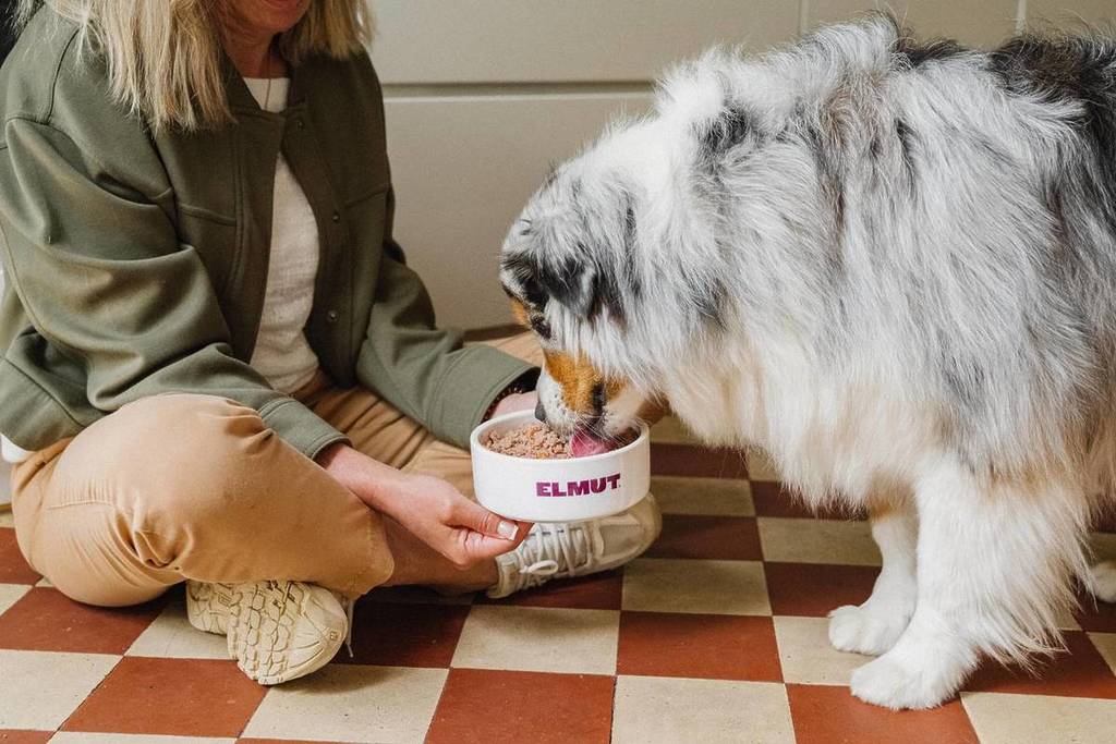 guinguette chiens Paris