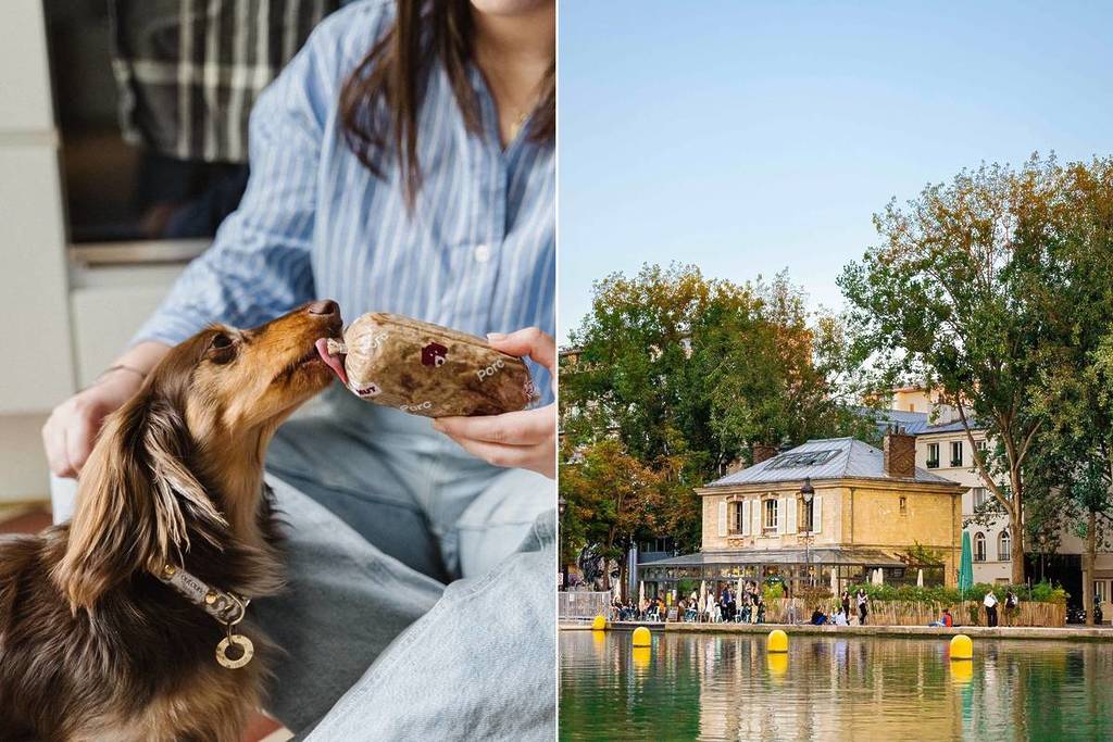 guinguette para cães Paris