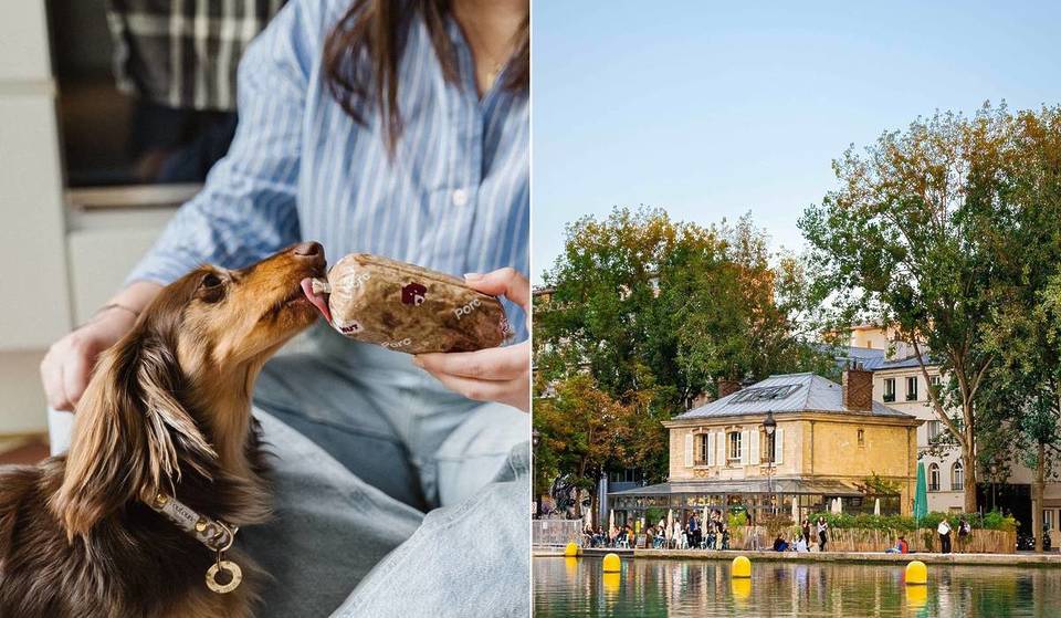 Dit weekend opent in Parijs de allereerste efemere guinguette voor honden haar deuren &#8211; een ongewone en gastronomische brunch waar je alleen deze zaterdag van kunt genieten!