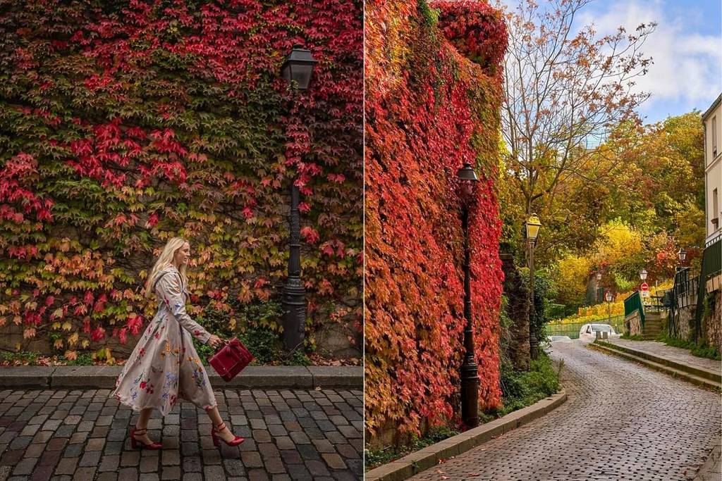 autumn leaf wall Montmartre secret spot Paris