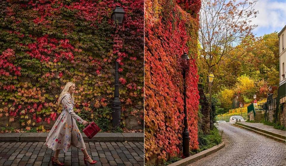 Deze geheime muur in Montmartre onthult al zijn pracht in oktober: en dit is de perfecte periode om hem te bewonderen, voordat de bladeren vallen