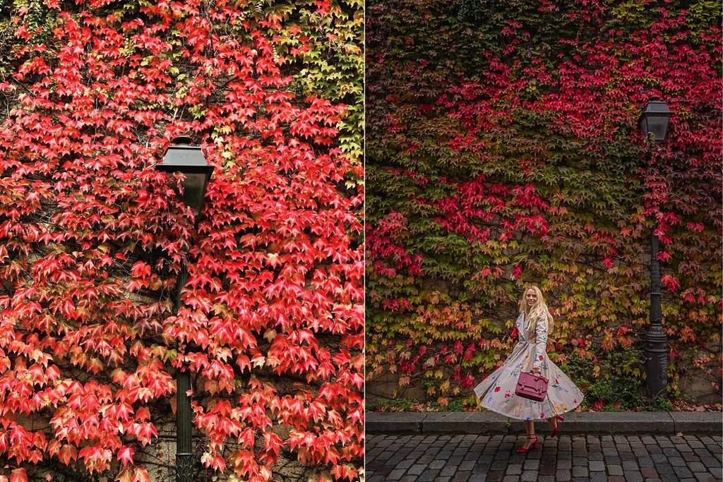 lieu secret Montmartre automne
