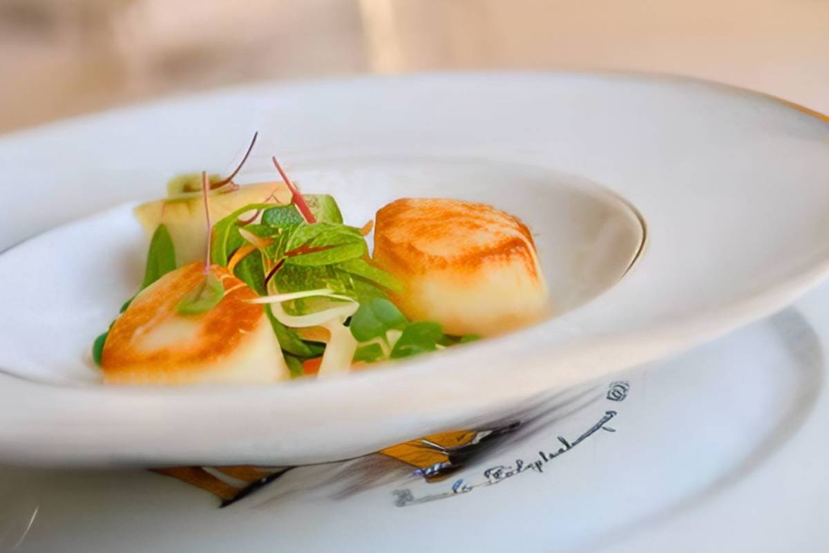 noix de saint-jacques