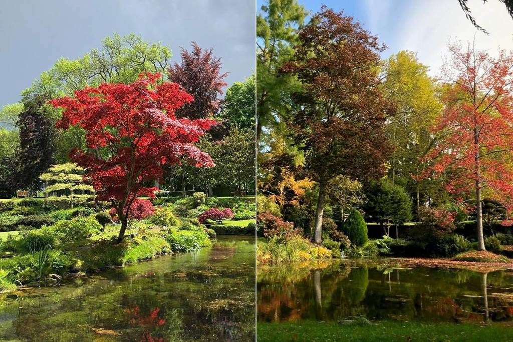 @domainedecourances jardin japonais caché Paris