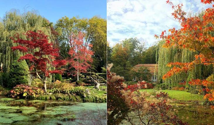 Verscholen op een door water omringd landgoed op 1 uur rijden van Parijs behoort deze sprookjesachtige Japanse tuin tot de mooiste van Frankrijk… en hij sluit binnenkort voor de winter!