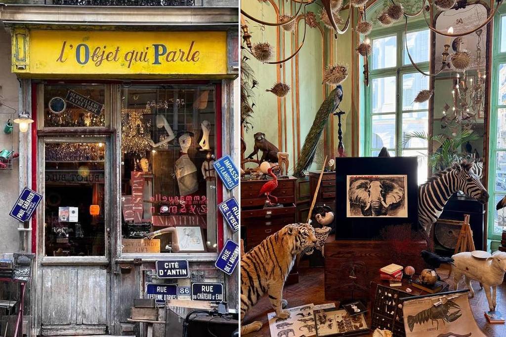 cabinets de curiosités Paris