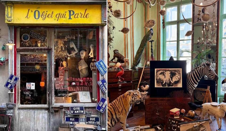 Menos frecuentados que los museos, estos gabinetes de curiosidades escondidos en París están llenos de tesoros raros y únicos que puede comprar.