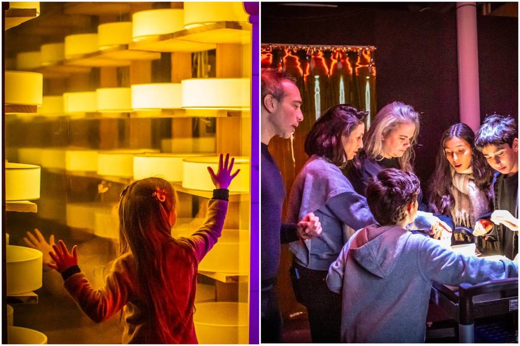 la experiencia del queso