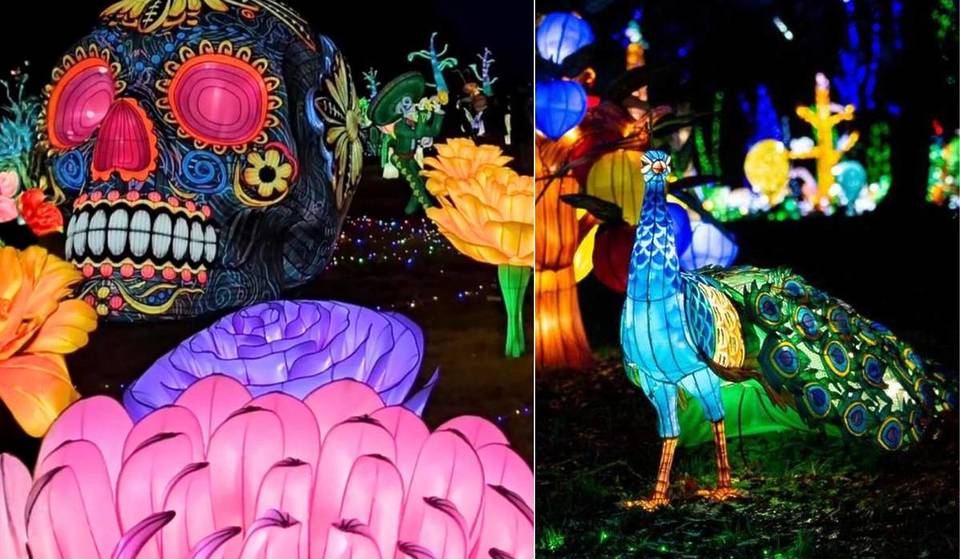 1 h from Paris, this magical light trail, the largest in the Paris region, takes you on a 3 km magical journey inspired by Día de los Muertos.