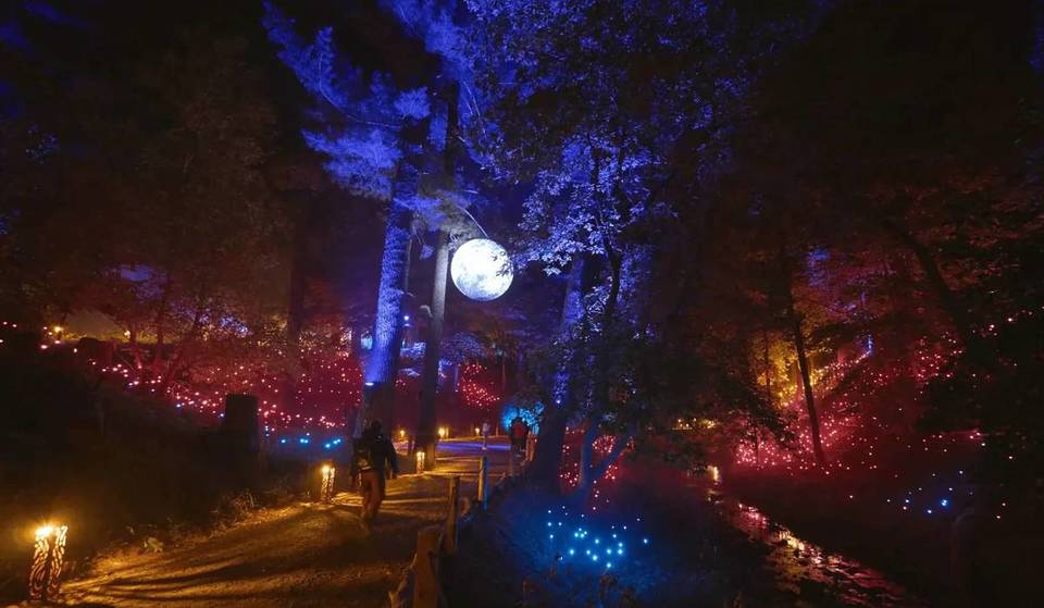 Op slechts 2 uur van Parijs ligt dit prachtige verlichte pad, het grootste van Europa, verscholen in een duizend jaar oud middeleeuws landgoed omringd door bossen… en de kassa is al open!