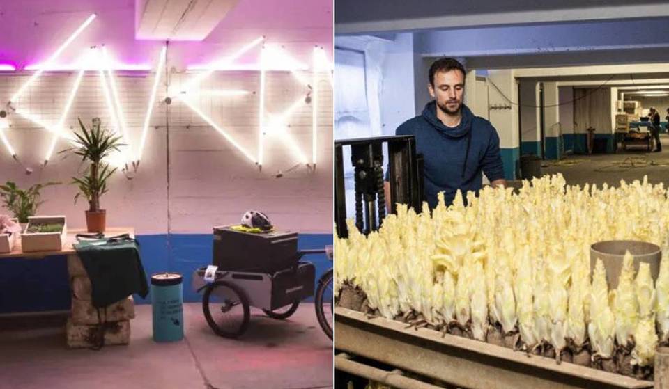 Unter einem 10.000 m² großen, vergessenen Parkplatz produziert die größte unterirdische Bio-Farm von Paris das Gemüse der größten Küchenchefs… und öffnet ihre Türen nur für einige wenige Neugierige!