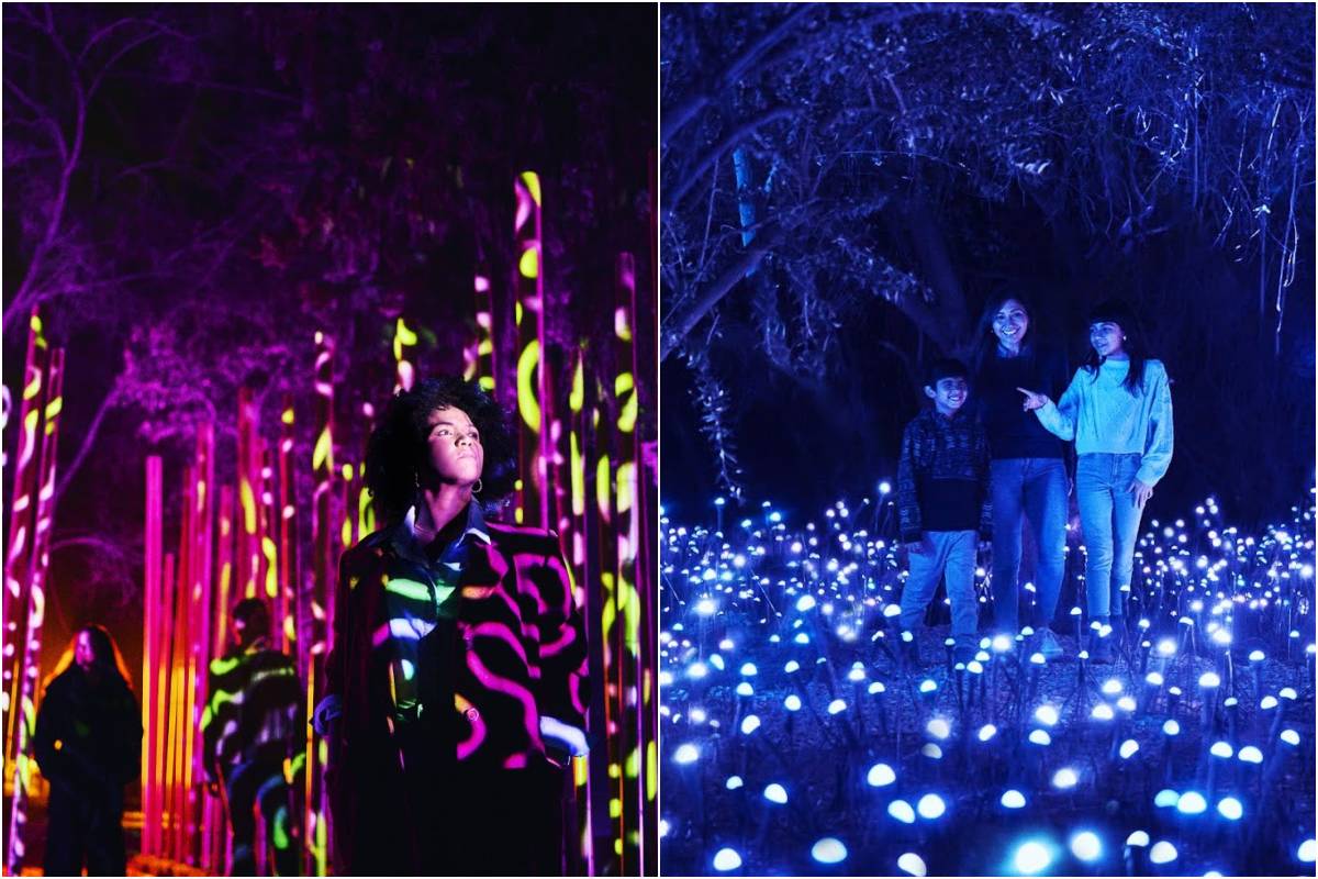 light cycles la villette