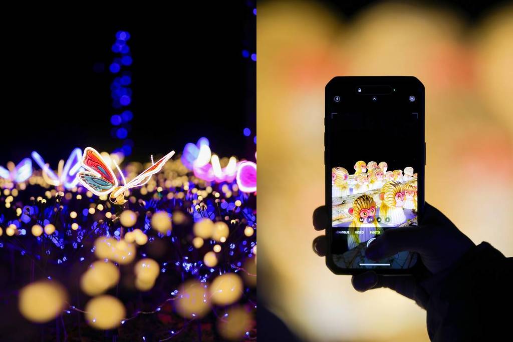 le japon en lumières