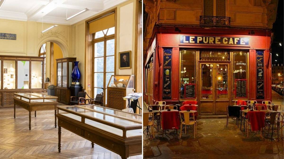 Musée de Minéralogie de l’École des Mines Paris Le Pure Café