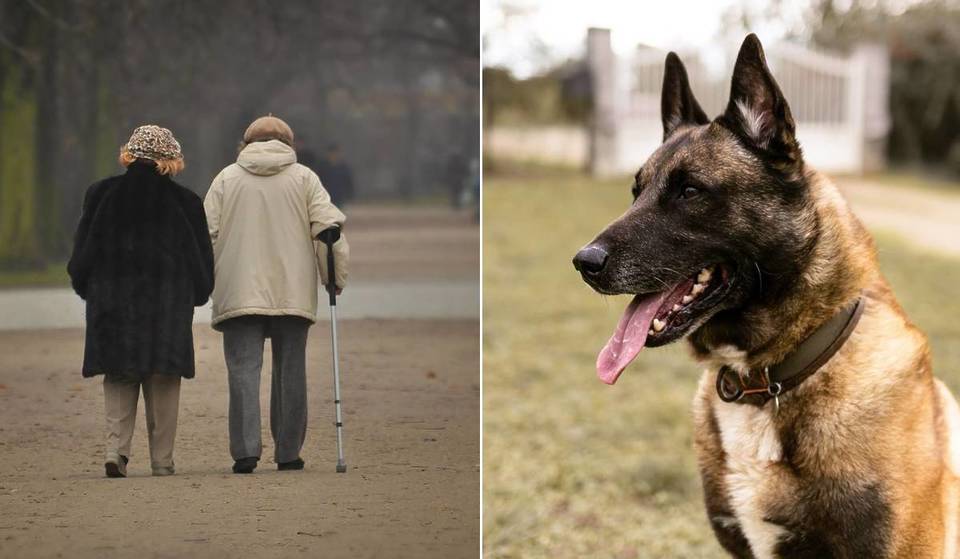 We don’t talk much about them, but they’re indispensable: discover these small associations that you should absolutely support this year in Paris.