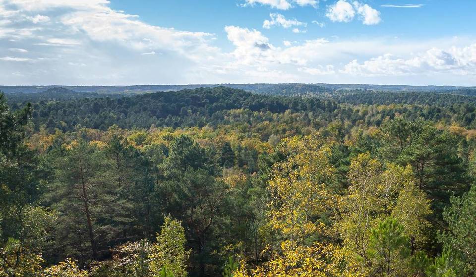 Es ist das erste Mal seit 400 Jahren: Nur 25 km von Paris entfernt wächst still und leise der größte Wald der Île-de-France… Jeden Tag werden dort mehr als 1.000 Bäume gepflanzt.