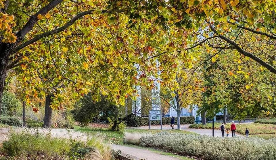 On the outskirts of Paris, this new 1.5-hectare park, hidden away on an island, is finally opening to the public this weekend! (with a breathtaking view of the Seine)