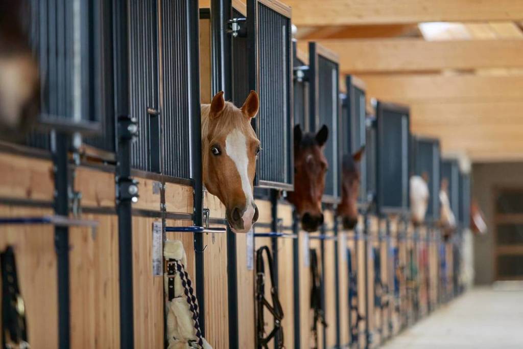 @boranch Ranch proche Paris