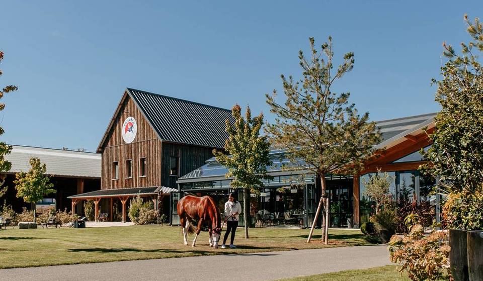 Pocos lo saben, pero a 45 minutos de París se esconde el rancho más grande de Europa… un lugar totalmente exótico donde pasar el día y almorzar rodeado de caballos, durante todo el año.