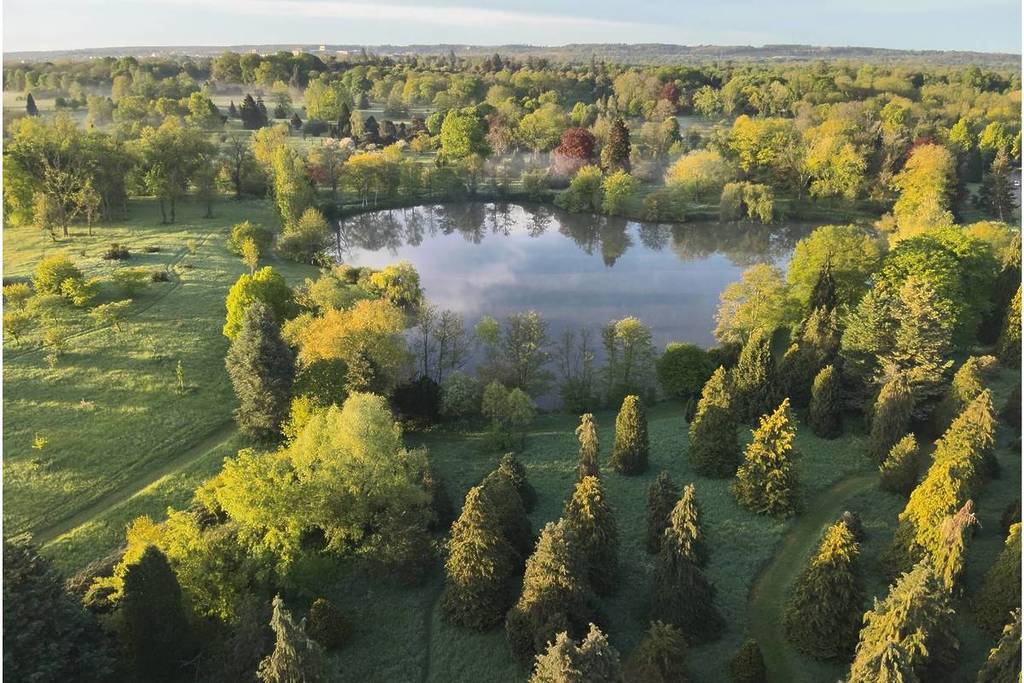 À deux pas du château de Versailles, ce parc secret de 200 hectares abrite l’une des plus grandes collections d’arbres d’Europe, avec plus de 2 000 essences rares… et pourtant, peu de gens en parlent