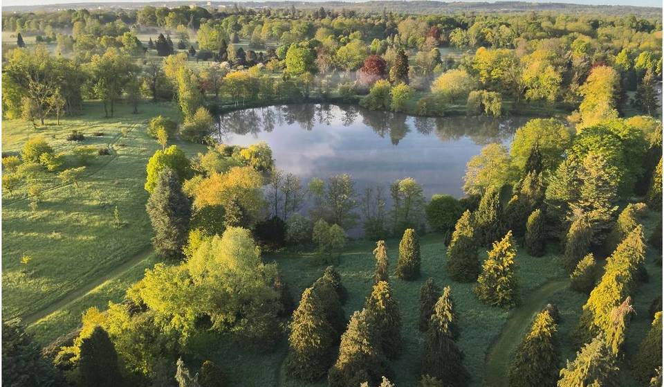 Op een steenworp afstand van het kasteel van Versailles herbergt dit geheime park van 200 hectare een van de grootste boomcollecties van Europa, met meer dan 2000 zeldzame soorten… en toch hebben maar weinig mensen er ooit van gehoord.