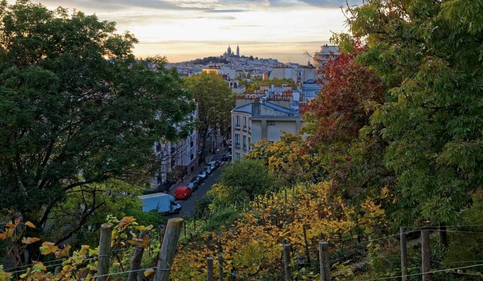 „Das bestgehütete Geheimnis des 19. Arrondissements”: Nur wenige Pariser kennen diesen hübschen versteckten Weinberg.