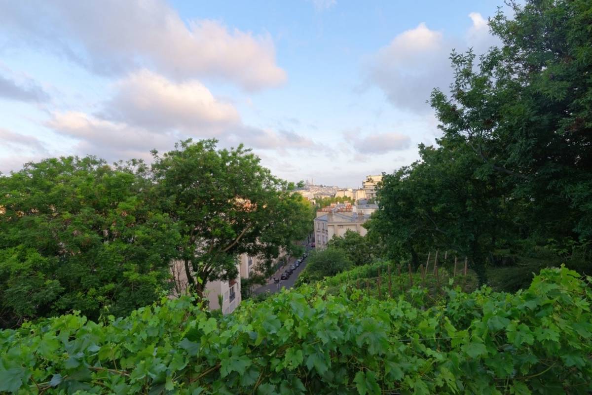 vignoble paris
