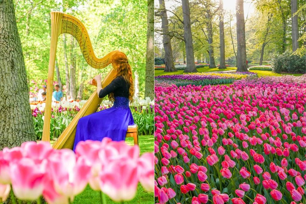 Paris getaway Europe's largest tulip field