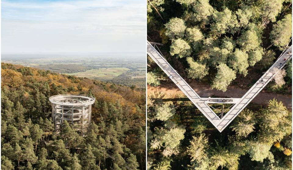 En Alsace vous pouvez marcher (littéralement) au-dessus des arbres avec une vue panoramique de 29 mètres de haut – et c’est l’escapade parfaite à faire en famille pour ce printemps