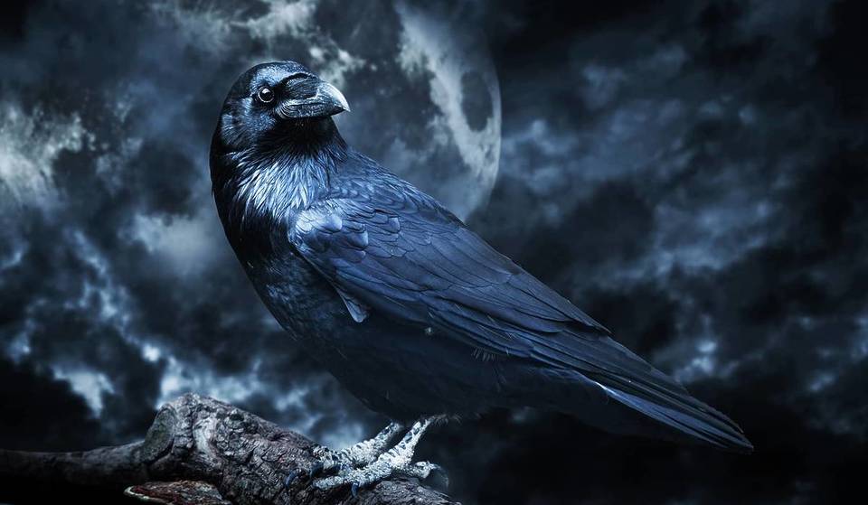 4 capolavori, 4 cocktail: questo viaggio sensoriale ispirato al maestro dell’orrore Edgar Allan Poe è l’appuntamento più misterioso dell’anno a Parigi.