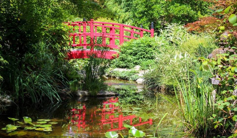 À deux pas de Paris, ce jardin japonais méconnu est l&rsquo;un des plus dépaysants et reposants d&rsquo;Île-de-France — un havre de paix de 1,5 hectare à découvrir absolument ce printemps