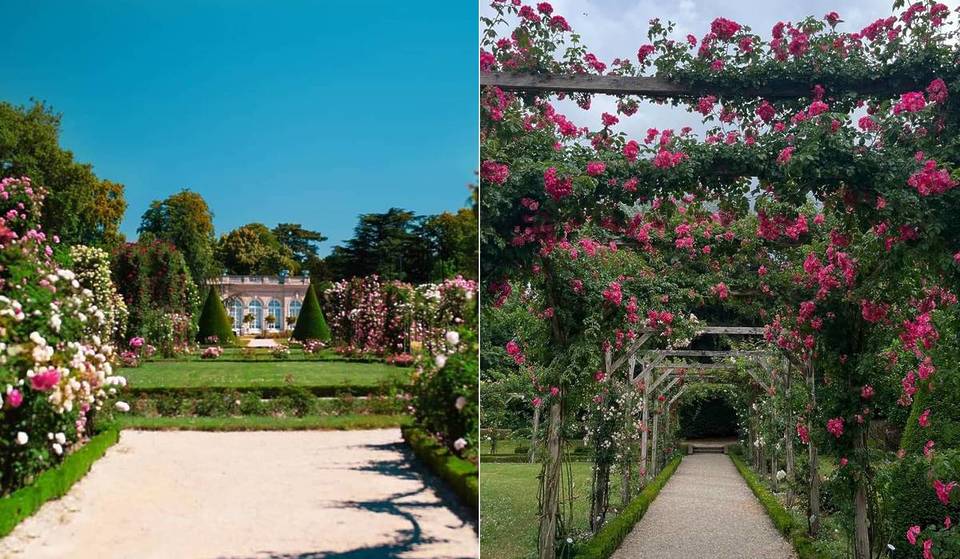 A Parigi, nascosto in un bosco di oltre 800 ettari, questo parco gratuito ospita 10.000 rose rare e fiori meravigliosi ed è senza dubbio il parco più fiorito della capitale.