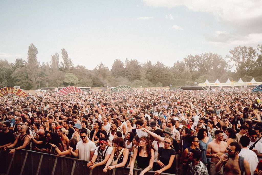 peacock society festival
