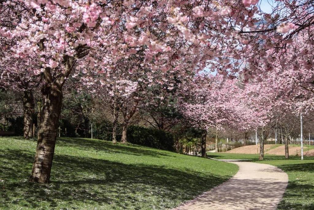 Les activités incontournables à faire à Paris ce week-end (samedi 14 et dimanche 15 mars 2026)