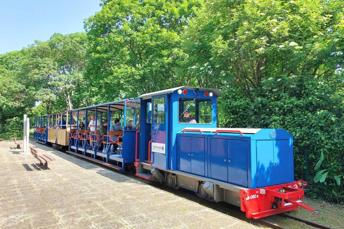 train